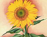 Georgia O'keeffe Canvas Paintings - A Sunflower from Maggie 1937
